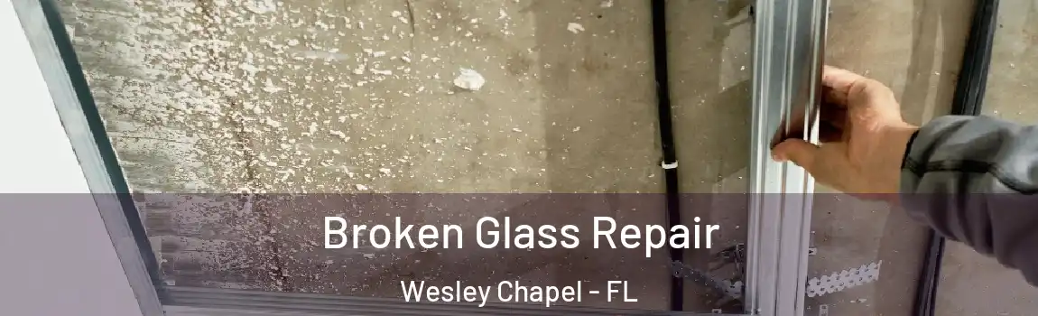 Broken Glass Repair Wesley Chapel - FL