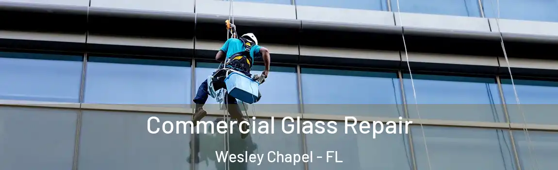  Commercial Glass Repair Wesley Chapel - FL