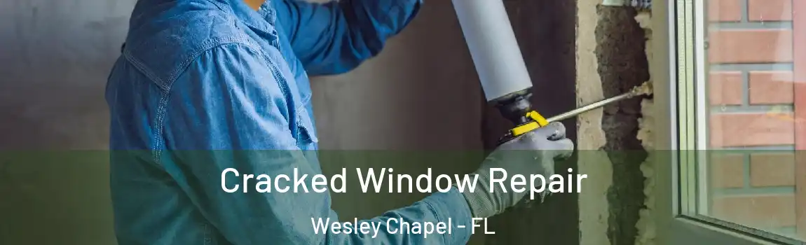 Cracked Window Repair Wesley Chapel - FL
