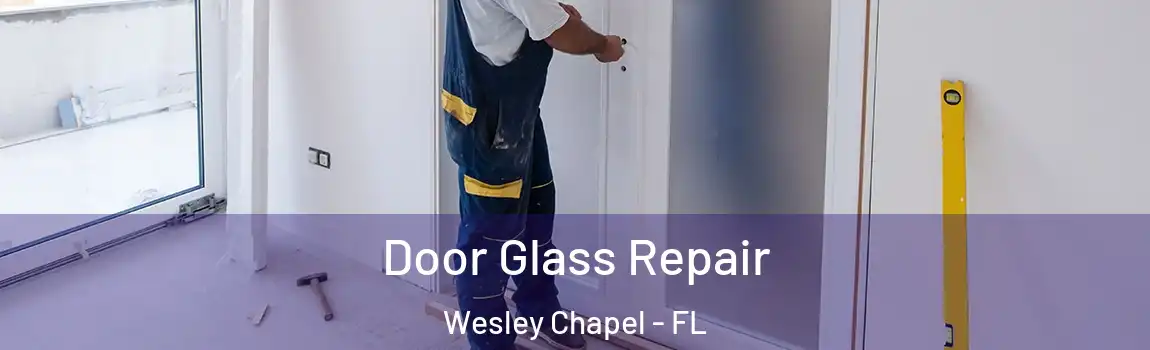 Door Glass Repair Wesley Chapel - FL