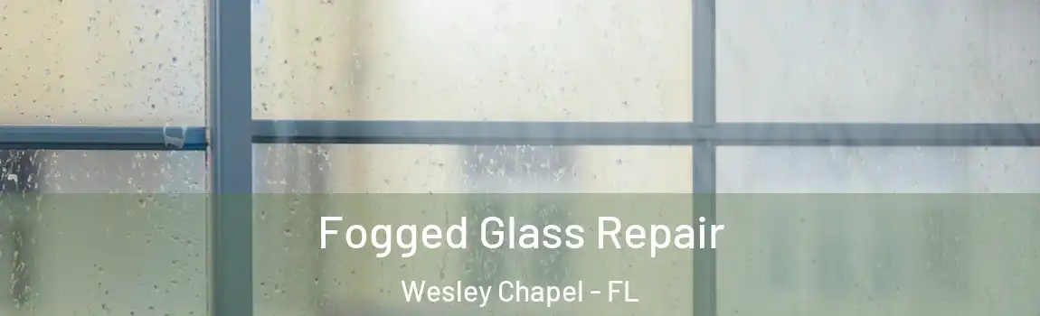 Fogged Glass Repair Wesley Chapel - FL
