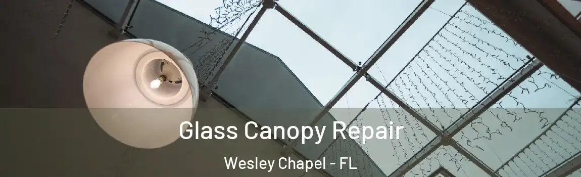 Glass Canopy Repair Wesley Chapel - FL