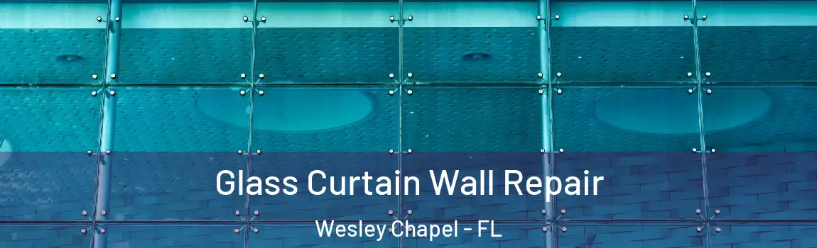 Glass Curtain Wall Repair Wesley Chapel - FL