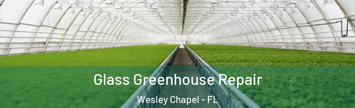 Glass Greenhouse Repair Wesley Chapel - FL