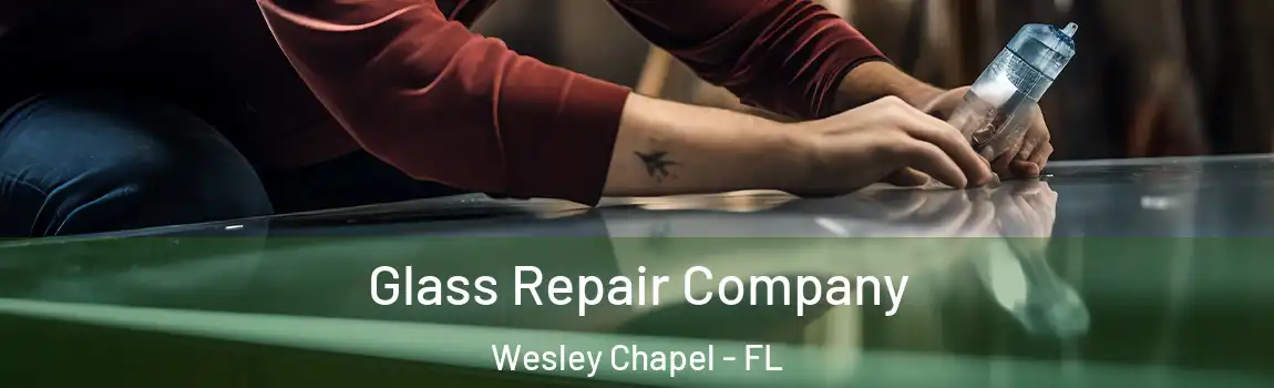  Glass Repair Company Wesley Chapel - FL