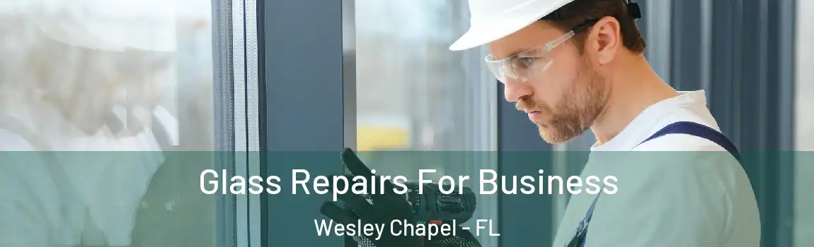  Glass Repairs For Business Wesley Chapel - FL