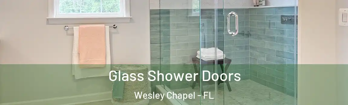 Glass Shower Doors Wesley Chapel - FL