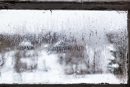 Defogging Double Pane Windows in Wesley Chapel, FL