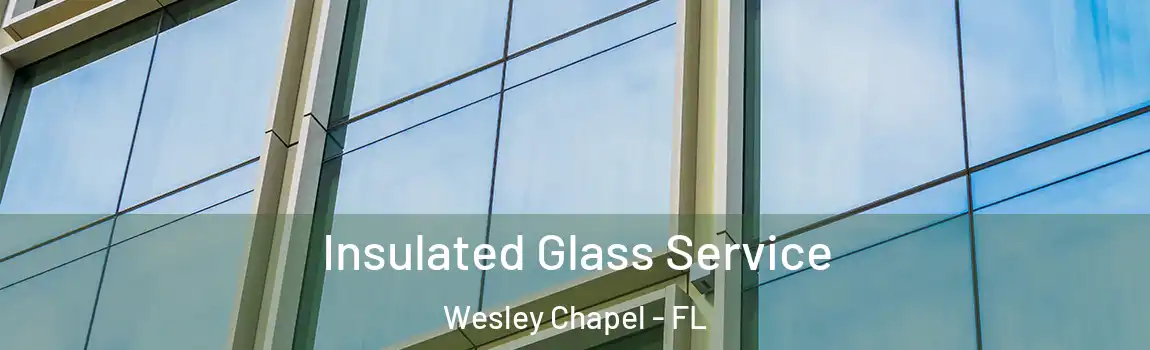 Insulated Glass Service Wesley Chapel - FL