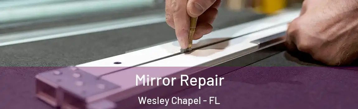  Mirror Repair Wesley Chapel - FL