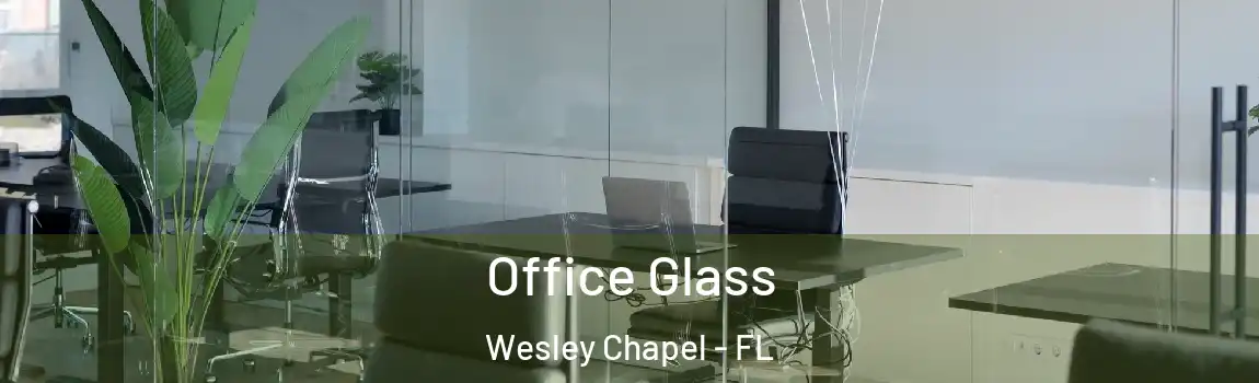  Office Glass Wesley Chapel - FL