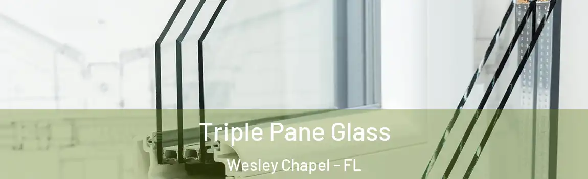 Triple Pane Glass Wesley Chapel - FL