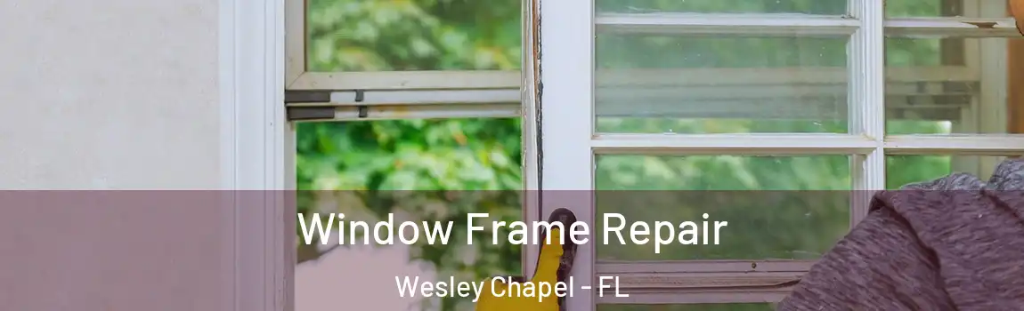 Window Frame Repair Wesley Chapel - FL