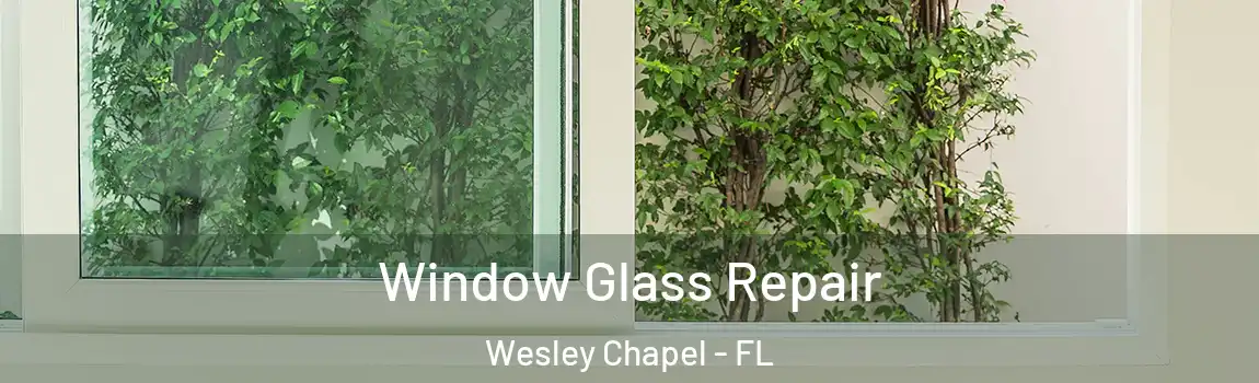  Window Glass Repair Wesley Chapel - FL