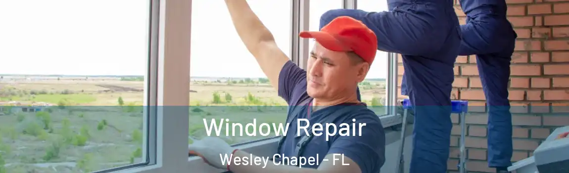  Window Repair Wesley Chapel - FL