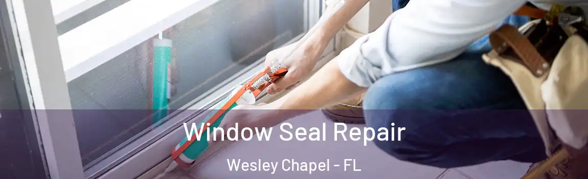 Window Seal Repair Wesley Chapel - FL
